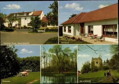 Ak Holzhausen Preußisch Oldendorf, Pension Stork, Terrasse, Limberg, Teich, Sitzecke im Garten