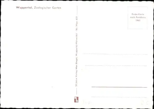 Ak Wuppertal in Nordrhein Westfalen, Zoo, Elefant, Eisbär, Meerschweinchen, Puma