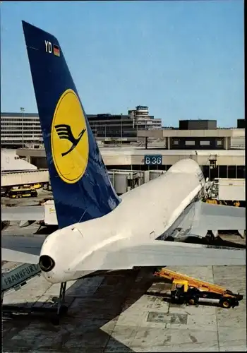 Ak Frankfurt am Main, Rhein Main Flughafen, Lufthansa Boeing 747 Jumbo Jet