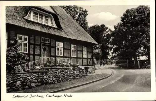 Ak Jesteburg in Niedersachsen, Straßenpartie