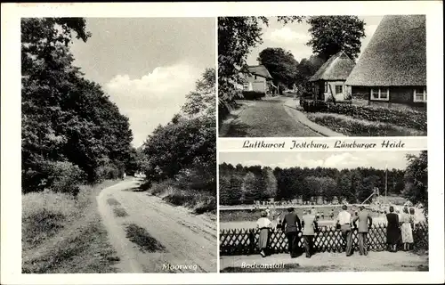 Ak Jesteburg in Niedersachsen, Moorweg, Häuser mit Reetdach, Badeanstalt