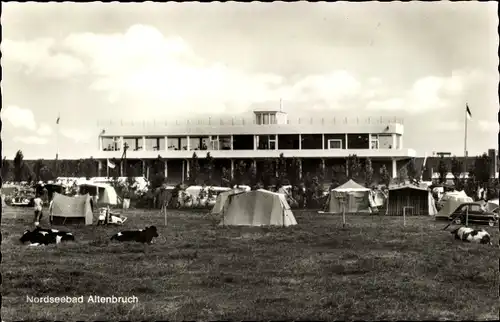 Ak Nordseebad Altenbruch Cuxhaven, Campingplatz, Kühe