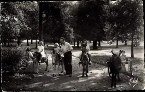 Ak Vichy Allier, La Promenade a anes dans les Parcs