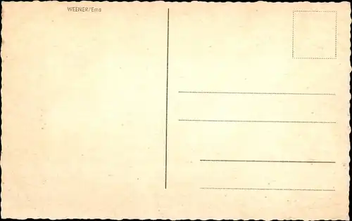 Ak Weener Ostfriesland, Fliegeraufnahme