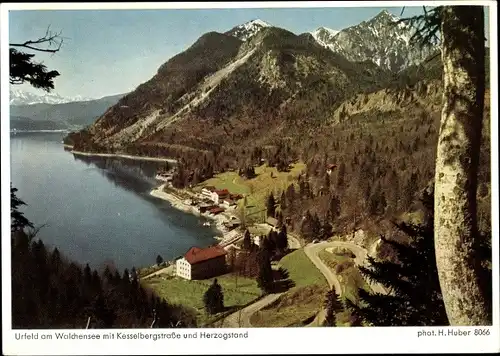 Ak Urfeld am Walchensee Kochel am See Oberbayern, Kesselbergstraße, Herzogstand