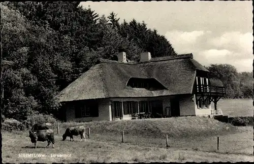Ak Steimel im Westerwald, Luisenhof, Weide