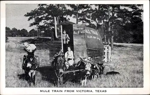 Ak Victoria Texas USA, Mule Train from Victoria