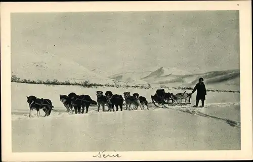 Ak Attelage de la Mission de Mary's Igloo en voyage, Hundeschlitten