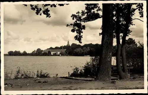 Ak Mirow Mecklenburgische Seenplatte, Partie am Mirow See