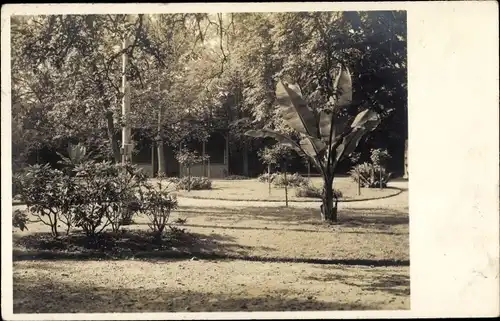 Foto Ak Hamburg Altona, Stadtpark