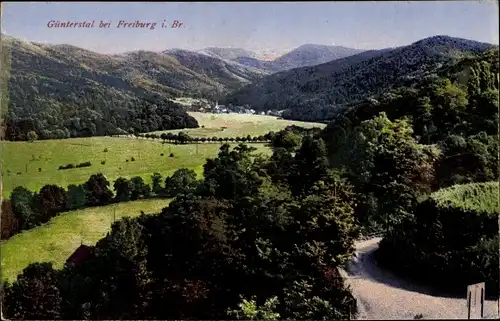 Ak Günterstal Freiburg im Breisgau Baden Württemberg, Gesamtansicht, Wald