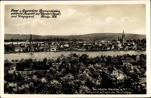 Ak Werder an der Havel, Panorama während der Baumblüte