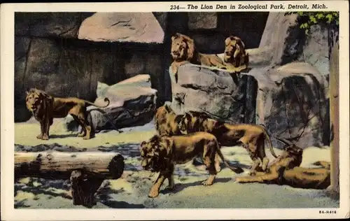 Ak Detroit Michigan USA, The Lion Den in Zoological Park