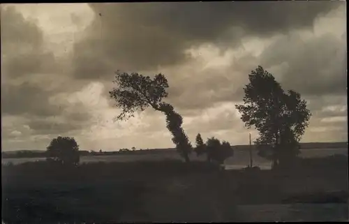 Foto Ak Unieście Nest Pommern, Abendstimmung, Bäume