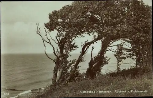 Ak Pionerski Neukuhren Ostpreußen, Ausblick vom Fichtenwald