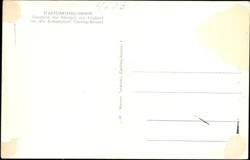 Ak Castrop Rauxel im Ruhrgebiet, Stadtgarten, Schwanenteich