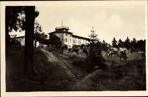 Ak Wieda Walkenried im Harz, Berghotel Stöberhai