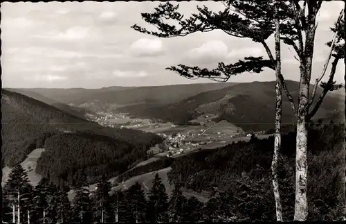 Ak Obertal Baiersbronn im Schwarzwald, Panorama