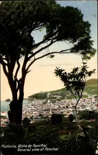 Ak Funchal Insel Madeira Portugal, General view