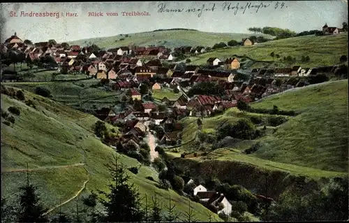Ak St. Andreasberg Braunlage im Harz, Blick vom Treibholz