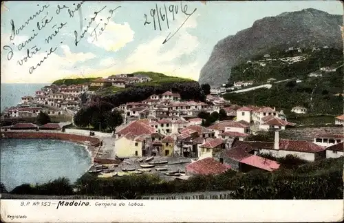 Ak Insel Madeira Portugal, Camara de Lobos, Panorama