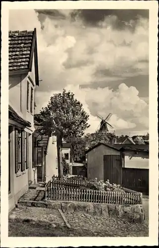 Ak Kröpelin in Mecklenburg, Dammstraße, Windmühle