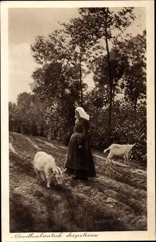 Ak Nordbrabant Niederlande, Brabants Dorpsleven, Ziegen, Landwirtschaft, Bäuerin