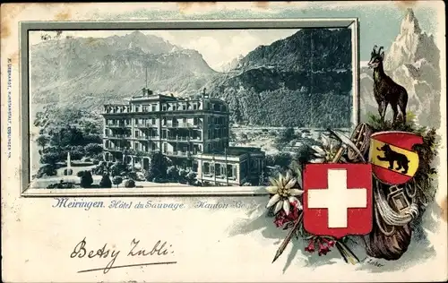 Präge Wappen Passepartout Ak Meiringen Kt. Bern Schweiz, Hotel du Sauvage