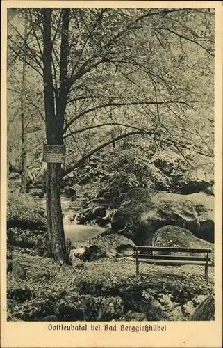 Ak Berggießhübel in Sachsen, Gottleubatal