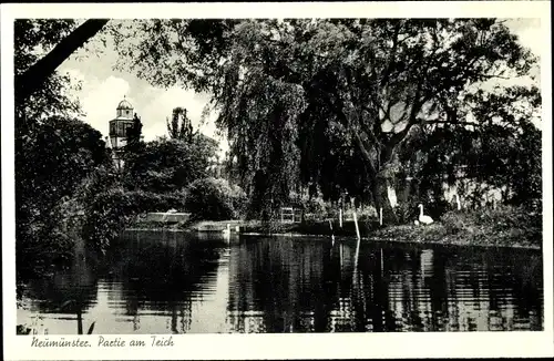 Ak Neumünster in Holstein, Partie am Teich