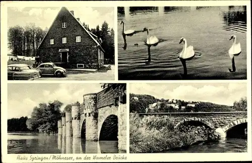 Ak Möhnesee in Westfalen, Haus Syringen, An der Warmeler Brücke, Schwäne