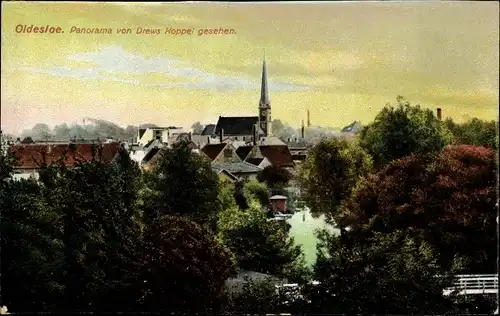 Ak Bad Oldesloe in Schleswig Holstein, Panorama von Drews Koppel gesehen