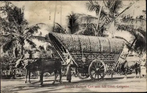 Ak Colombo Ceylon Sri Lanka, Double Bullock Cart with full Load