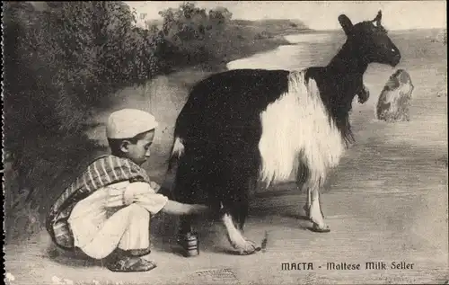 Ak Malta, Maltese Milk Seller