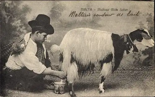 Ak Malta, Maltese Milk Seller