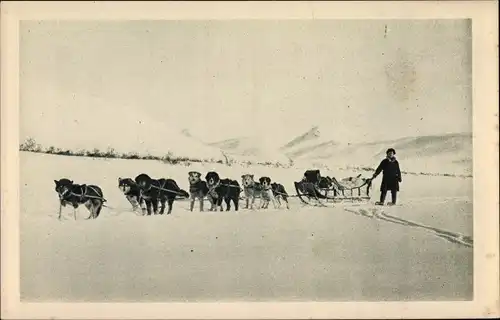 Ak Wagon lits de l'Arctique, Alaska, Hundeschlitten