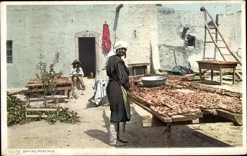 Ak Drying Peaches, Essen, Früchte, Pfirsiche