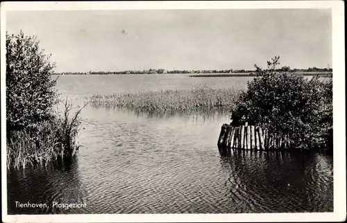 Ak Tienhoven Utrecht, Plasgezicht