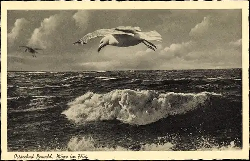 Ak Rewal Rewahl Pommern, Möwe im Flug über dem Meer, Brandung