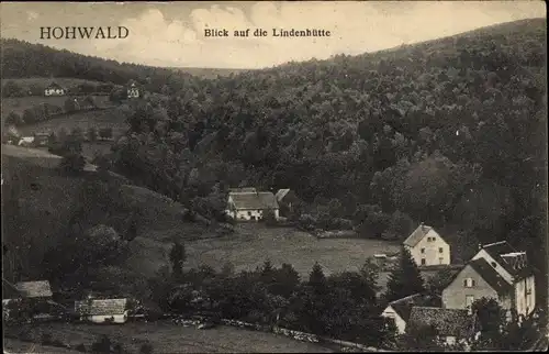 Ak Le Hohwald Elsass Bas Rhin, Blick auf die Lindenhütte