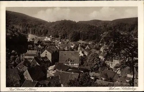 Ak Bad Grund im Harz, Panorama vom Gitteldeberg