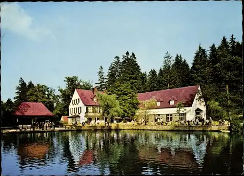 Ak Leopoldstal Horn Bad Meinberg am Teutoburger Wald, Waldhotel Silbermühle
