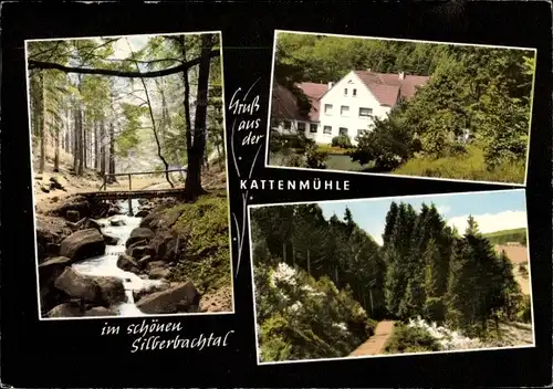 Ak Feldrom Horn Bad Meinberg am Teutoburger Wald, Waldgaststätte Kattenmühle, Silberbachtal