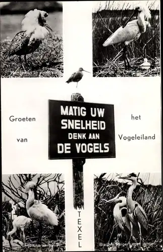 Ak Texel Nordholland Niederlande, Matig UW Snelheid denk aan de Vogels, Vogeleiland, Vögel