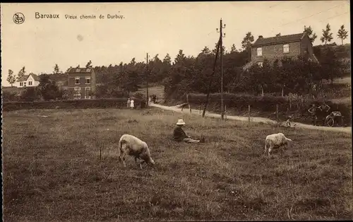 Ak Barvaux Wallonien Luxemburg, Vieux chemin de Durboy