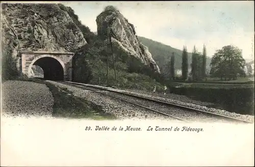 Ak Wallonien Namur, Vallee de la Meuse, Le Tunnel de Fidevoye