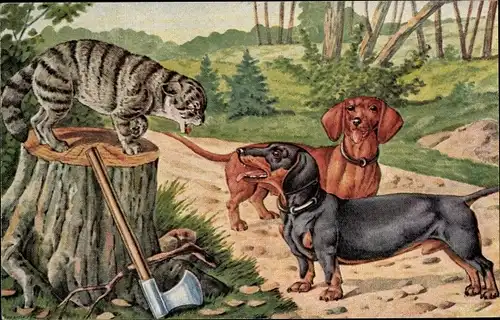 Künstler Ak Zwei Dackel und eine fauchende Katze, Axt