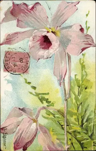 Künstler Ak Klein, Catharina, Blühende Blumen