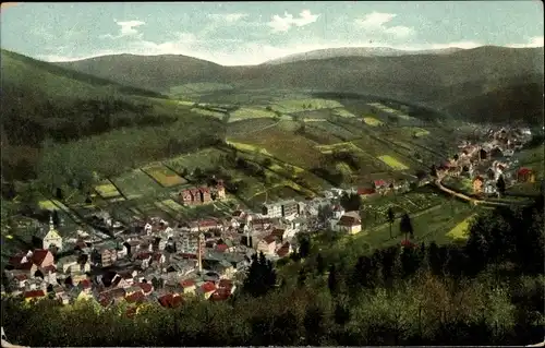 Ak Ruhla in Thüringen, Blick von der Carolinenhöhe, Totalansicht