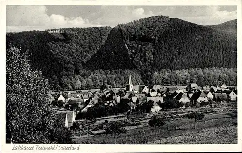 Ak Freienohl Meschede im Sauerland, Gesamtansicht